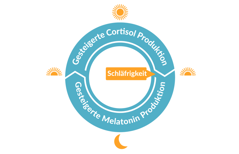 Cortisol